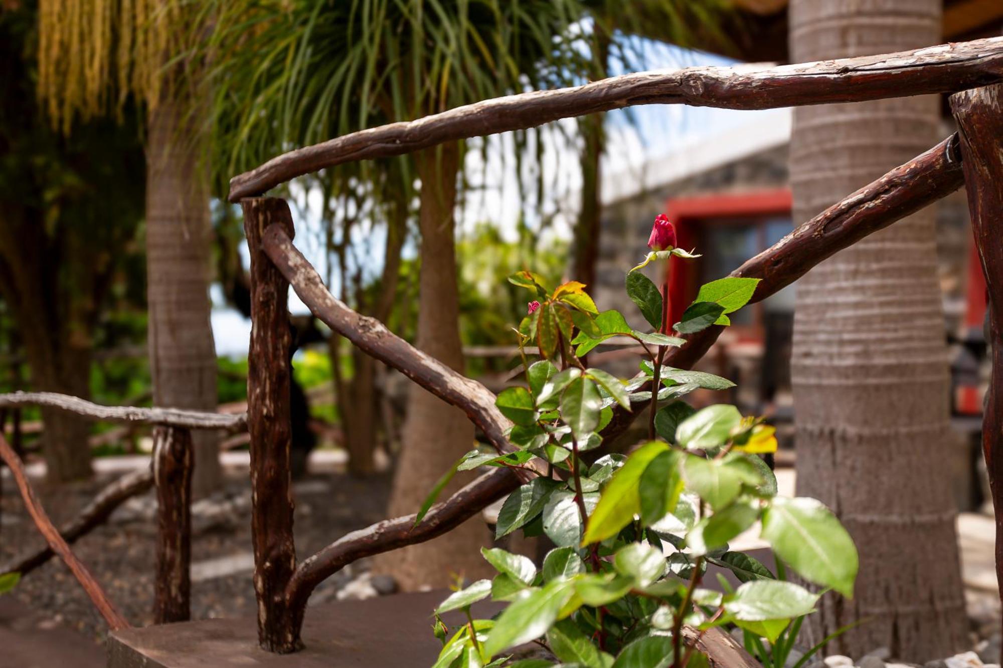 Refugio Do Lourinho Villa Funchal  Buitenkant foto